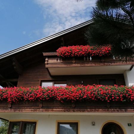 Barschtlerhof Lägenhet Axams Exteriör bild